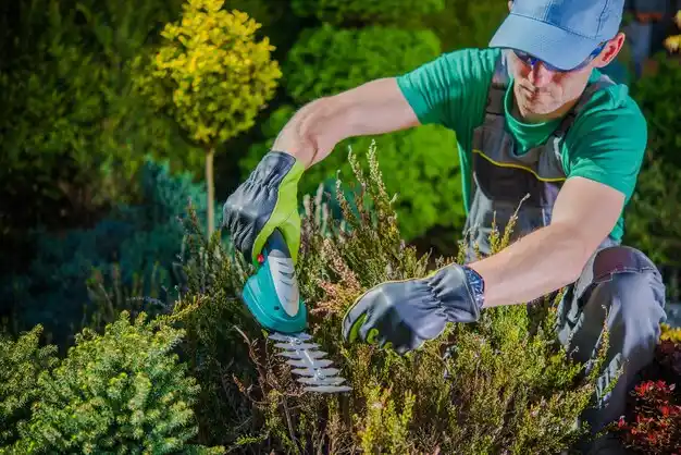 landscaping services Odessa